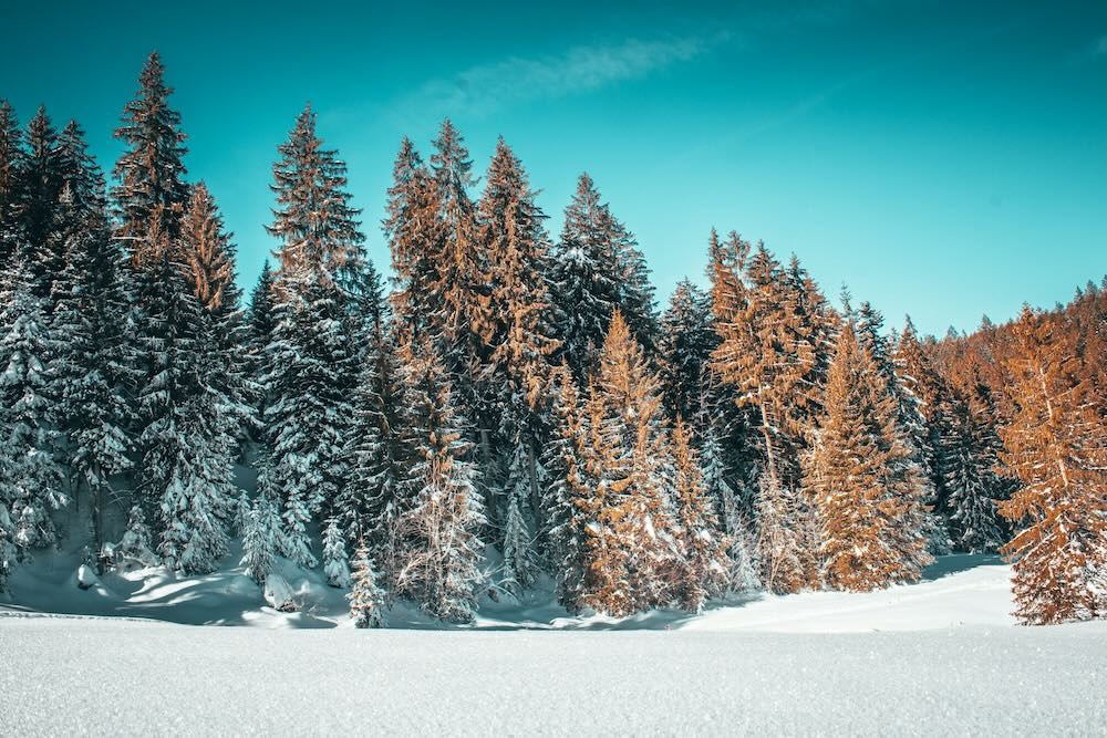 Photo by Kevin Oetiker on Unsplash